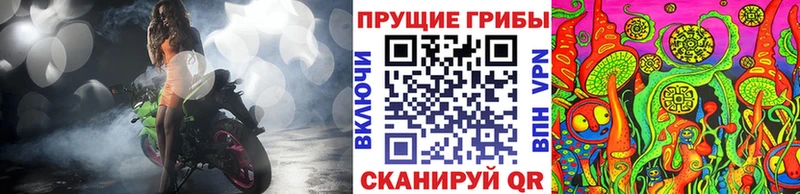 Галлюциногенные грибы Psilocybine cubensis  цена наркотик  Мостовской 